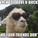cool llama | WHEN YOU HAVE V-BUCKS; AND YOUR FRIENDS DON'T | image tagged in cool llama | made w/ Imgflip meme maker