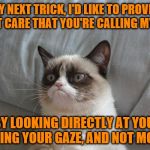 I wouldn't necessarily call it a trick, Grumpy. ~Inspired by Nopa~ | FOR MY NEXT TRICK, I'D LIKE TO PROVE THAT I DON'T CARE THAT YOU'RE CALLING MY NAME; BY LOOKING DIRECTLY AT YOU, HOLDING YOUR GAZE, AND NOT MOVING | image tagged in memes,grumpy cat bed,grumpy cat,lazy,stubborn | made w/ Imgflip meme maker