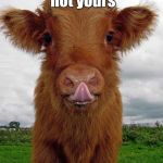 Are you a calf? | It's his milk, not yours; Please, be vegan | image tagged in anti-vegan calf | made w/ Imgflip meme maker