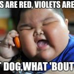 fat asian baby | ROSES ARE RED, VIOLETS ARE BLUE; I EAT DOG,WHAT 'BOUT YOU | image tagged in fat asian baby | made w/ Imgflip meme maker