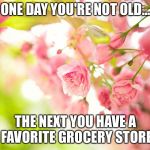 Pretty pink flowers | ONE DAY YOU'RE NOT OLD... THE NEXT YOU HAVE A FAVORITE GROCERY STORE | image tagged in pretty pink flowers | made w/ Imgflip meme maker