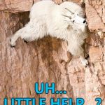 I can climb, climb, climb any mountain... :) | LITTLE HELP...? UH... | image tagged in mountain goat,memes,animals | made w/ Imgflip meme maker