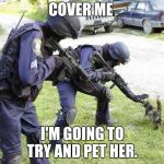 Cops Arrest Cat | COVER ME; I'M GOING TO TRY AND PET HER. | image tagged in cops arrest cat | made w/ Imgflip meme maker