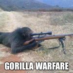 Meanwhile in Africa | GORILLA WARFARE | image tagged in sniper monkey | made w/ Imgflip meme maker