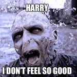 Harry Potter: and the infinity gauntlet | HARRY; I DON’T FEEL SO GOOD | image tagged in voldemort | made w/ Imgflip meme maker