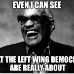 Ray Charles | EVEN I CAN SEE; WHAT THE LEFT WING DEMOCRATS ARE REALLY ABOUT | image tagged in ray charles | made w/ Imgflip meme maker