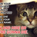 Don't Mess With the Momma! | WHEN YOUR MOTHER CALLS OUT FOR YOU; AND SHE USES YOUR MIDDLE NAME. RUN AND HIDE OR YOU'RE GONNA DIE. | image tagged in cat hiding scared,that moment when,fear me,frustrating mom,scary things,spanking | made w/ Imgflip meme maker