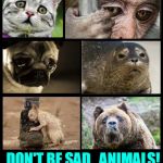 Aw.... Sad Animals | WE LOVE YOU! DON'T BE SAD,  ANIMALS! | image tagged in sad animals,vince vance,animals | made w/ Imgflip meme maker