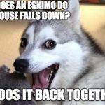 Pun dog - husky | WHAT DOES AN ESKIMO DO IF HIS HOUSE FALLS DOWN? IGLOOS IT BACK TOGETHER. | image tagged in pun dog - husky | made w/ Imgflip meme maker