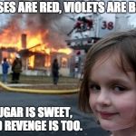 Evil Girl Fire | ROSES ARE RED, VIOLETS ARE BLUE; SUGAR IS SWEET, AND REVENGE IS TOO. | image tagged in evil girl fire | made w/ Imgflip meme maker