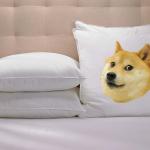 Doge pillow