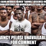 ms-13 dreamers daca | MS-13 GANG MEMBER NAMED "ANIMAL" RECEIVES 40-YEAR PRISON SENTENCE FOR MURDERING 15-YEAR-OLD BOY; NANCY PELOSI UNAVAILABLE FOR COMMENT | image tagged in ms-13 dreamers daca | made w/ Imgflip meme maker
