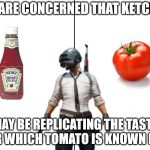 We are concerned that | WE ARE CONCERNED THAT KETCHUP; MAY BE REPLICATING THE TASTE FOR WHICH TOMATO IS KNOWN FOR. | image tagged in we are concerned that | made w/ Imgflip meme maker