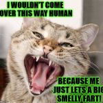 BIG FART | I WOULDN'T COME OVER THIS WAY HUMAN; BECAUSE ME JUST LETS A BIG SMELLY FART! | image tagged in big fart | made w/ Imgflip meme maker