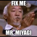 Karate kid heal | FIX ME; MR. MIYAGI | image tagged in karate kid heal | made w/ Imgflip meme maker