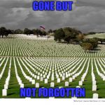 Memorial Day Sales | GONE BUT; NOT FORGOTTEN | image tagged in memorial day sales | made w/ Imgflip meme maker
