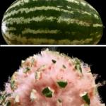 Exploding Watermelon