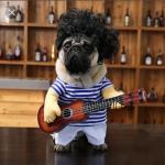 Dog guitar