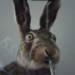 Gawds Great Grass! | GAWD! THIS GRASS IS GREAT! | image tagged in rabbit smoking,grass | made w/ Imgflip meme maker