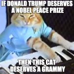 Keyboard cat | IF DONALD TRUMP DESERVES A NOBEL PEACE PRIZE; THEN THIS CAT DESERVES A GRAMMY | image tagged in keyboard cat | made w/ Imgflip meme maker