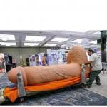 giant dildo