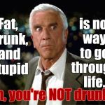 WELL... Uhh.... Hmmm..... Okay, then..... | is no way to go through life. Fat, drunk, and stupid; Oh, you're NOT drunk? | image tagged in leslie nielsen,memes,drunk,fat,stupid | made w/ Imgflip meme maker