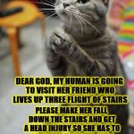 THE FELINE PRAYER | DEAR GOD, MY HUMAN IS GOING TO VISIT HER FRIEND WHO LIVES UP THREE FLIGHT OF STAIRS; PLEASE MAKE HER FALL DOWN THE STAIRS AND GET A HEAD INJURY SO SHE HAS TO GO TO THE HOSPITAL AND I CAN STEAL ALL THE DELIVERED MILK FOR AS LONG AS POSSIBLE WITHOUT GETTING CAUGHT! AMEN! | image tagged in the feline prayer | made w/ Imgflip meme maker