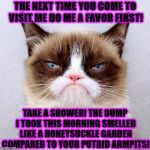 Grumpy Cat | THE NEXT TIME YOU COME TO VISIT ME DO ME A FAVOR FIRST! TAKE A SHOWER! THE DUMP I TOOK THIS MORNING SMELLED LIKE A HONEYSUCKLE GARDEN COMPARED TO YOUR PUTRID ARMPITS! | image tagged in grumpy cat | made w/ Imgflip meme maker