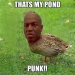 Deebo Duck - coolbullshit | THATS MY POND; PUNK!! | image tagged in deebo duck - coolbullshit | made w/ Imgflip meme maker
