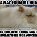 CONSTIPATION | GET AWAY FROM ME HUMAN! I'VE BEEN CONSTIPATED FOR 5 DAYS THANKS TO THIS DOLLAR STORE FOOD YOU CHEAP TURD! | image tagged in constipation | made w/ Imgflip meme maker