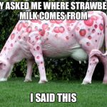 Strawberry Milk | THEY ASKED ME WHERE STRAWBERRY MILK COMES FROM; I SAID THIS | image tagged in strawberry milk | made w/ Imgflip meme maker
