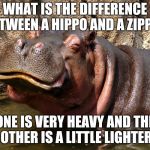 Hippo happy | WHAT IS THE DIFFERENCE BETWEEN A HIPPO AND A ZIPPO? ONE IS VERY HEAVY AND THE OTHER IS A LITTLE LIGHTER | image tagged in hippo happy | made w/ Imgflip meme maker