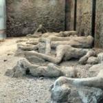 Hogg in Pompeii
