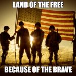 Happy Memorial Day, everyone | LAND OF THE FREE; BECAUSE OF THE BRAVE | image tagged in memorial day soldiers | made w/ Imgflip meme maker