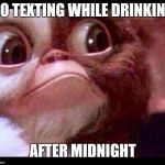 Gizmo | NO TEXTING WHILE DRINKING; AFTER MIDNIGHT | image tagged in gizmo | made w/ Imgflip meme maker