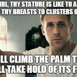 hey girl | HEY GIRL, THY STATURE IS LIKE TO A PALM TREE, AND THY BREASTS TO CLUSTERS OF GRAPES. I WILL CLIMB THE PALM TREE; I WILL TAKE HOLD OF ITS FRUIT. | image tagged in hey girl | made w/ Imgflip meme maker