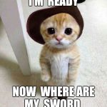 Cute Cat | I'M  READY; NOW  WHERE ARE MY  SWORD | image tagged in cute cat,puss in boots | made w/ Imgflip meme maker