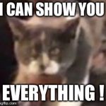 Deep thinking cat | I CAN SHOW YOU; EVERYTHING ! | image tagged in deep thinking cat | made w/ Imgflip meme maker