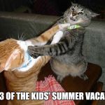 Is it September yet? | DAY 3 OF THE KIDS' SUMMER VACATION | image tagged in two cats fighting for real | made w/ Imgflip meme maker