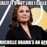 roseanne barr | REALLY IT’S NOT LIKE I CALLED; MICHELLE OBAMA’S AN APE | image tagged in roseanne barr,funny,memes | made w/ Imgflip meme maker