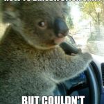 Driving koala  | TODAY I WANTED TO LEARN HOW TO DRIVE A STICK SHIFT; BUT COULDN'T FIND A MANUAL | image tagged in driving koala | made w/ Imgflip meme maker