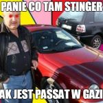 Mirek Hanldarz | PANIE CO TAM STINGER; JAK JEST PASSAT W GAZIE | image tagged in mirek hanldarz | made w/ Imgflip meme maker