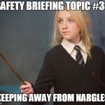 Luna Leads a Safety Brief | SAFETY BRIEFING TOPIC #33; "KEEPING AWAY FROM NARGLES" | image tagged in luna lovememes,memes | made w/ Imgflip meme maker