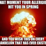 Shots Fired | THAT MOMENT YOUR ALLERGIES HIT YOU IN SPRING; AND YOU WISH THIS ON EVERY DANDELION THAT HAS EVER EXISTED | image tagged in shots fired | made w/ Imgflip meme maker