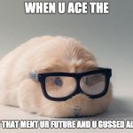 Guinea Pig! | WHEN U ACE THE; I.T TEST THAT MENT UR FUTURE AND U GUSSED ALL OF IT! | image tagged in guinea pig | made w/ Imgflip meme maker
