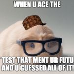 Guinea Pig! | WHEN U ACE THE; I.T TEST THAT MENT UR FUTURE AND U GUESSED ALL OF IT! | image tagged in guinea pig,scumbag | made w/ Imgflip meme maker