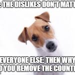 Confused Dog | SN: THE DISLIKES DON'T MATTER; EVERYONE ELSE: THEN WHY DID YOU REMOVE THE COUNTER? | image tagged in confused dog | made w/ Imgflip meme maker