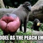Kim Kardashian's new butt selfie | I MODEL AS THE PEACH EMOJI | image tagged in kim kardashian's new butt selfie | made w/ Imgflip meme maker