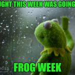 I Like Frogs | I THOUGHT THIS WEEK WAS GOING TO BE; FROG WEEK | image tagged in kermit the frog rainy day,sad kermit,memes,frog week | made w/ Imgflip meme maker