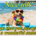 Dog on beach | Nice job! Hope that you are ready for a wonderful summer! | image tagged in dog on beach | made w/ Imgflip meme maker